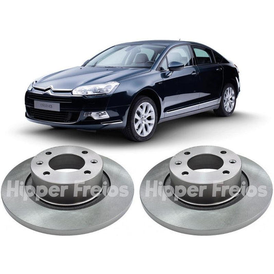 Disco Freio Traseiro Citroen C5 2.0 3.0 16v 24v 2001 A 2007 - NPX Imports