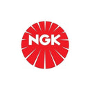 Kit Velas Ignição + Cabo Vela Fox 1.0 Fox 1.6 Gol G4 G5 Ngk - NPX Imports